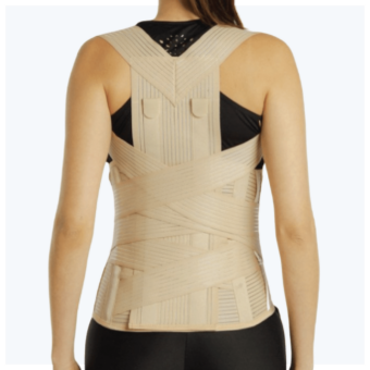 Ceinture Dorso-lombaire D6